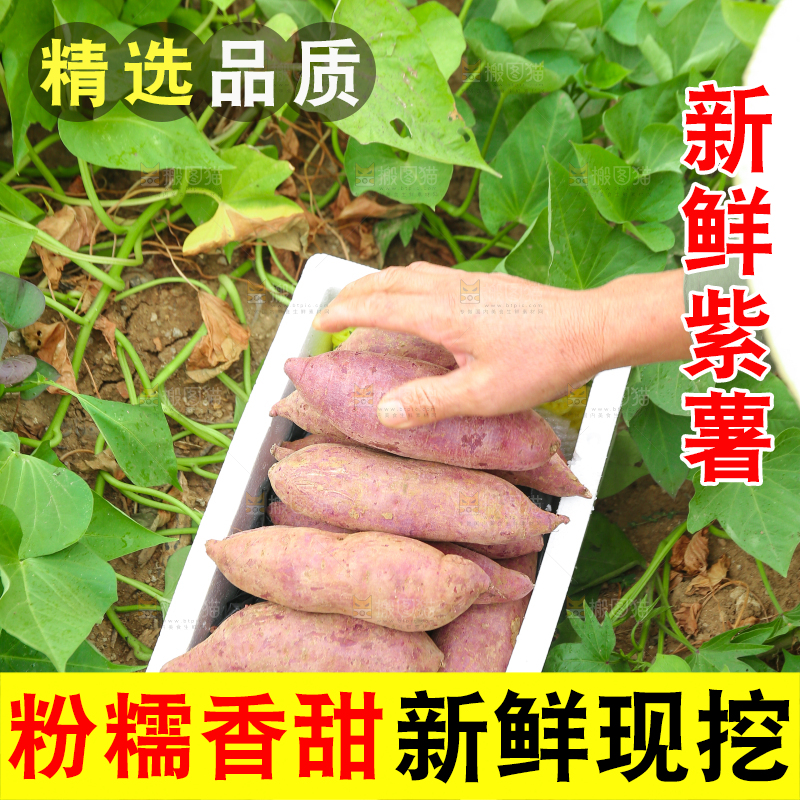 地里放着一箱紫薯