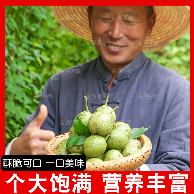 农民手里拿着一篮核桃