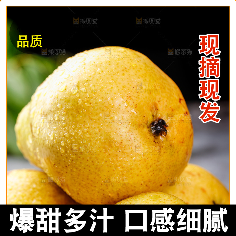 堆放着的新鲜太婆梨
