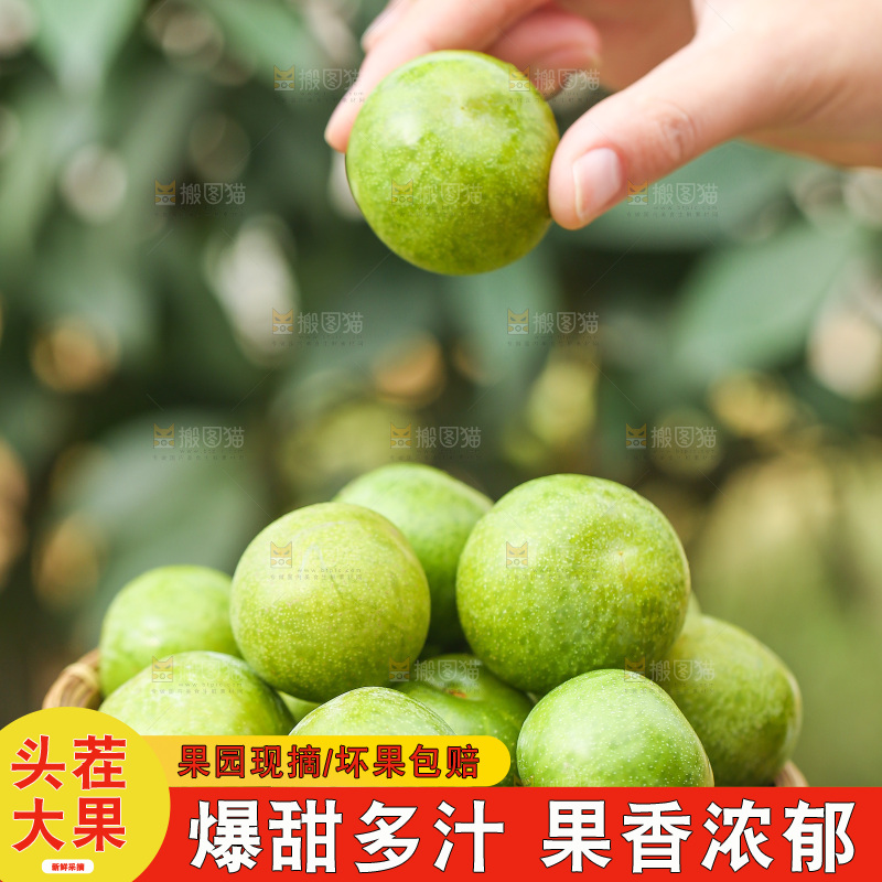 手里拿着脱骨李