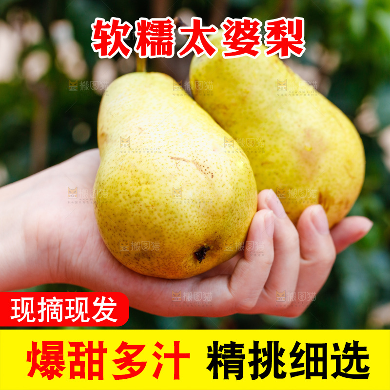 手里拿着新鲜太婆梨
