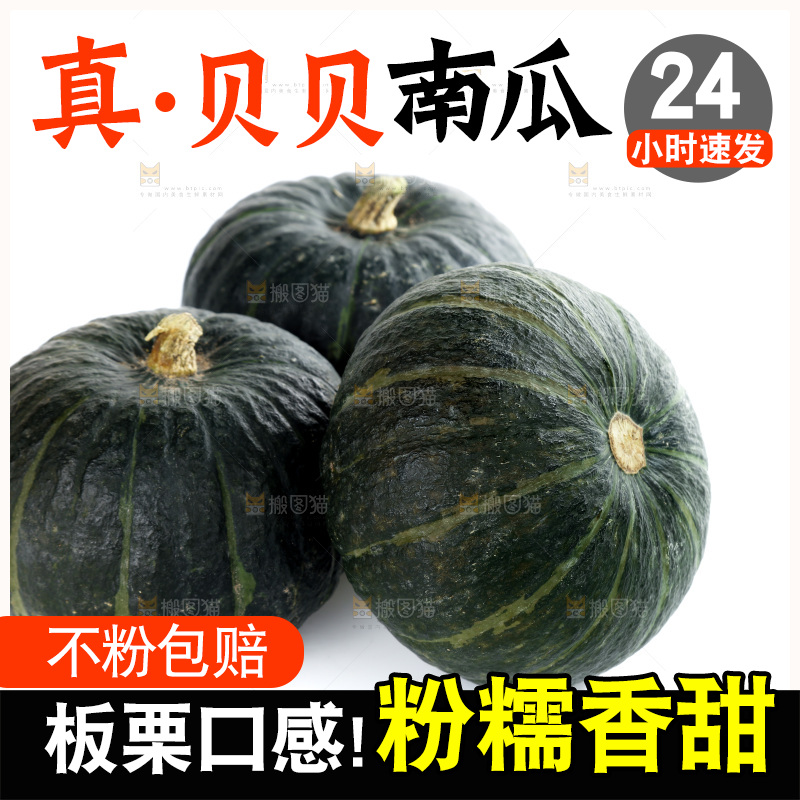 白底上放着的板栗南瓜