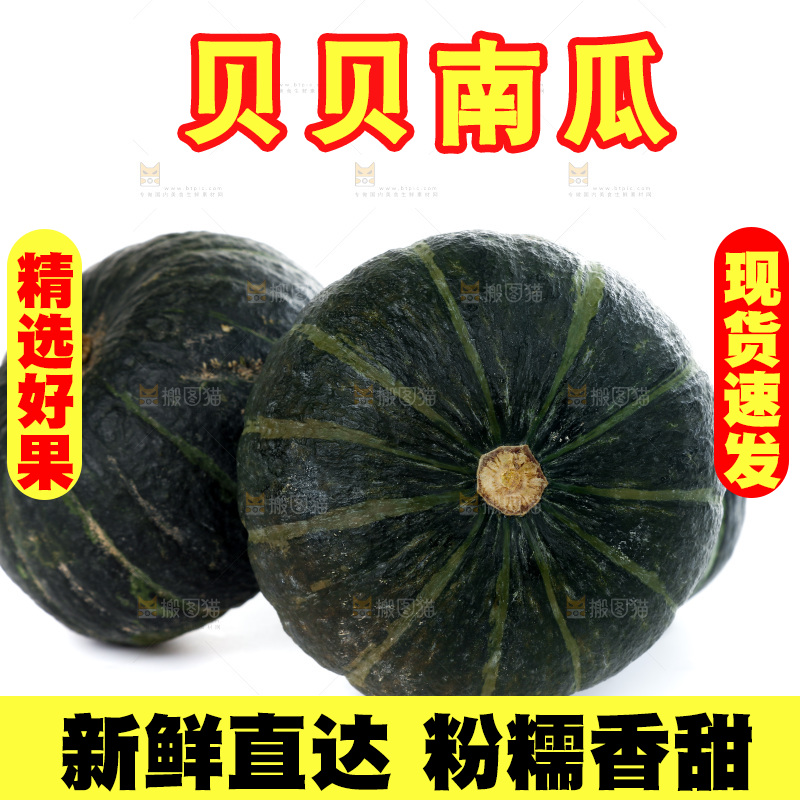 白底上放着的板栗南瓜