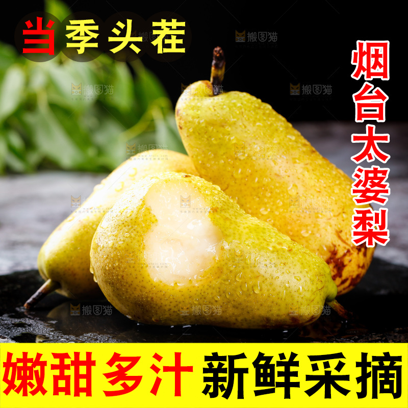 黑石板上的太婆梨