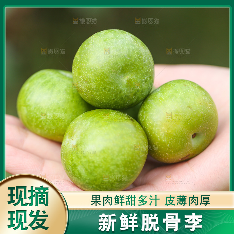 手上放着新鲜脱骨李