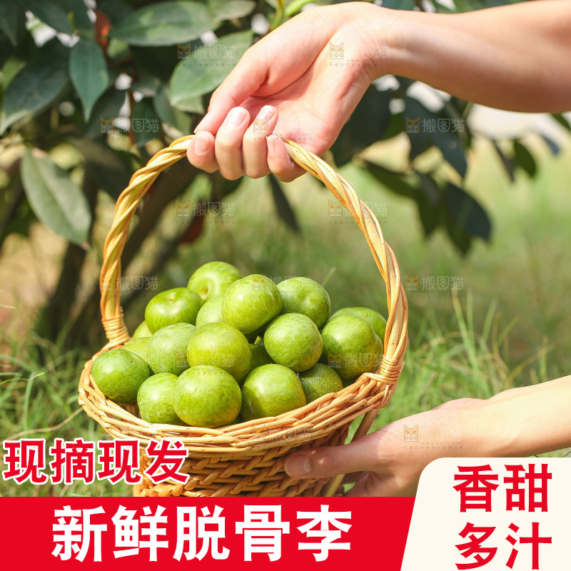 手里提着一篮脱骨李