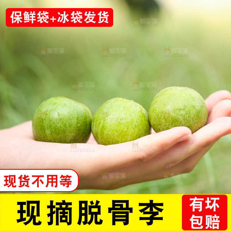 手上放着新鲜脱骨李