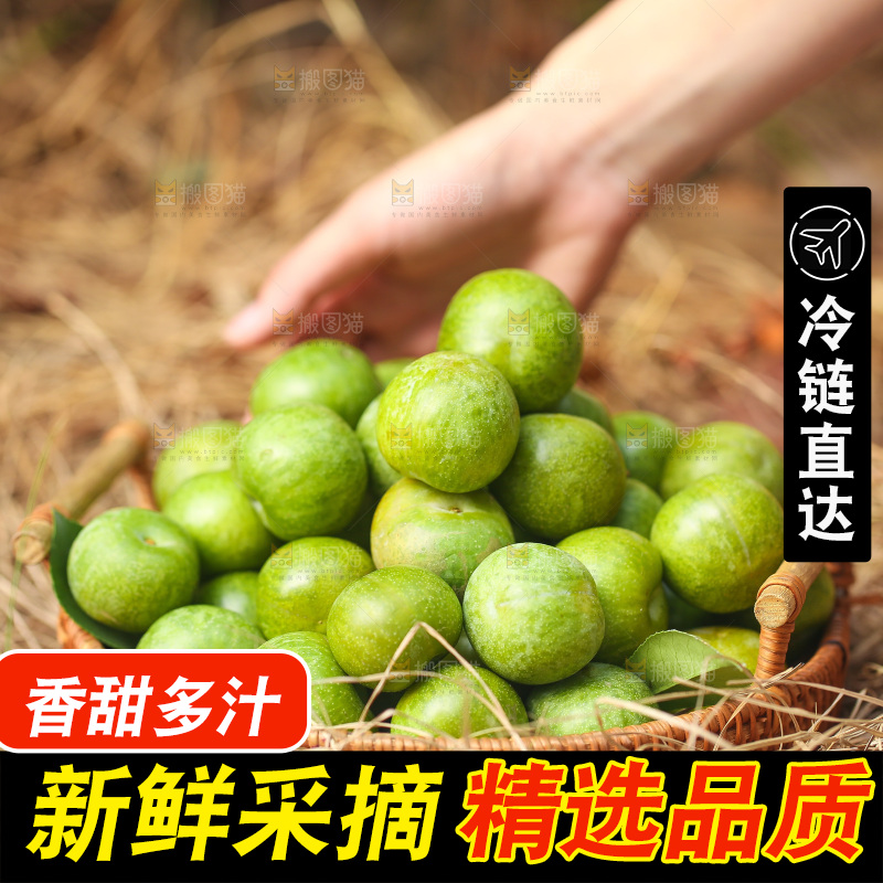 手里拿着新鲜脱骨李