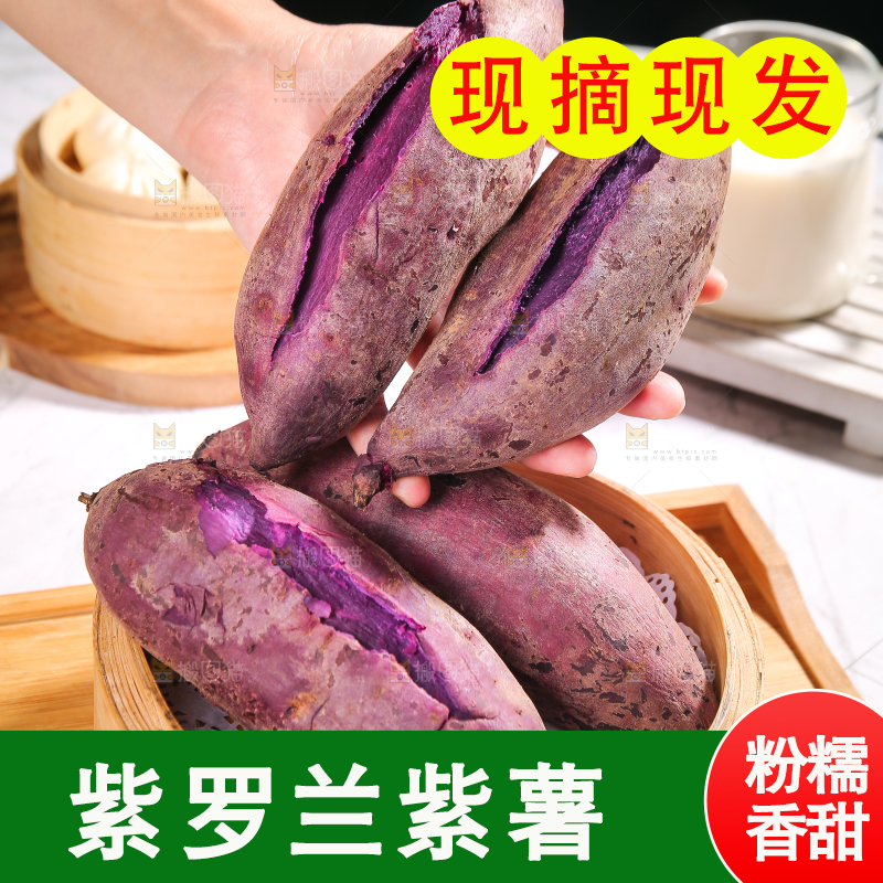 手上放着新鲜大紫薯