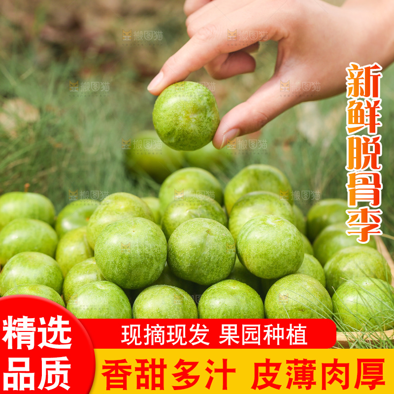 手拿着新鲜脱骨李