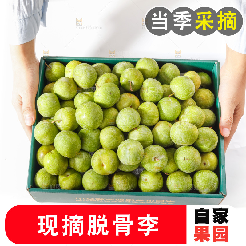手里拿着一箱脱骨李