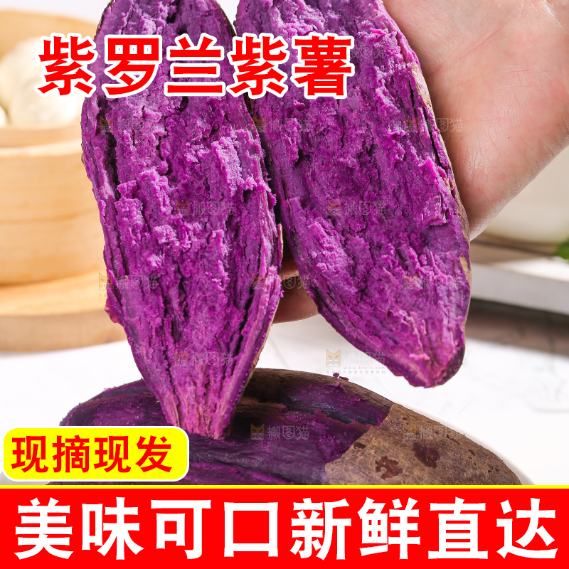 手里拿着山东大紫薯