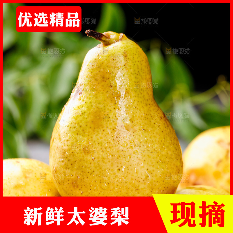 堆放着的新鲜太婆梨