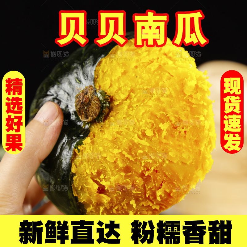 手里拿着的板栗南瓜