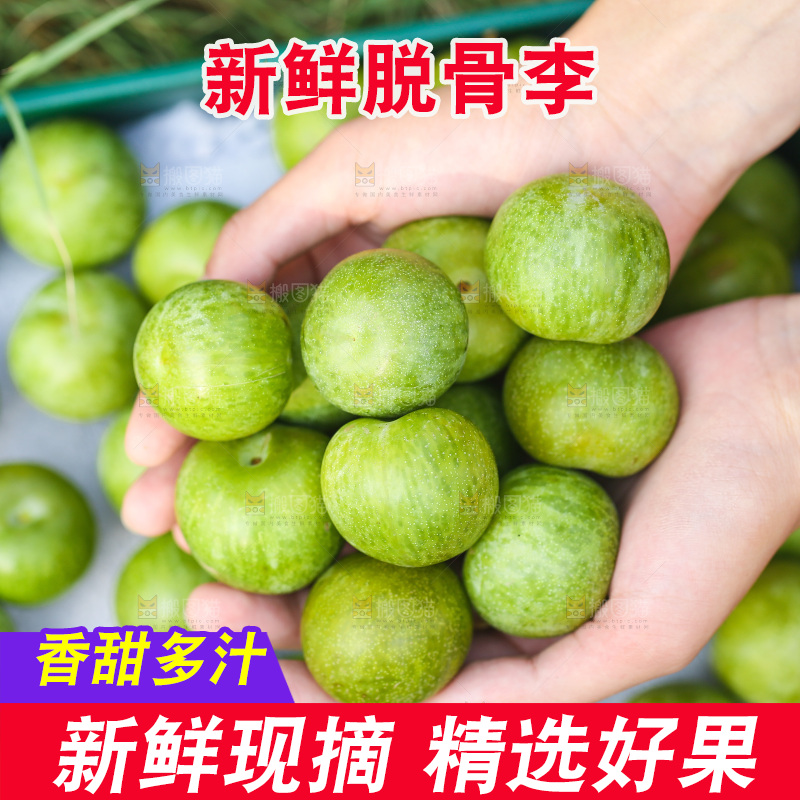 手里捧着脱骨李