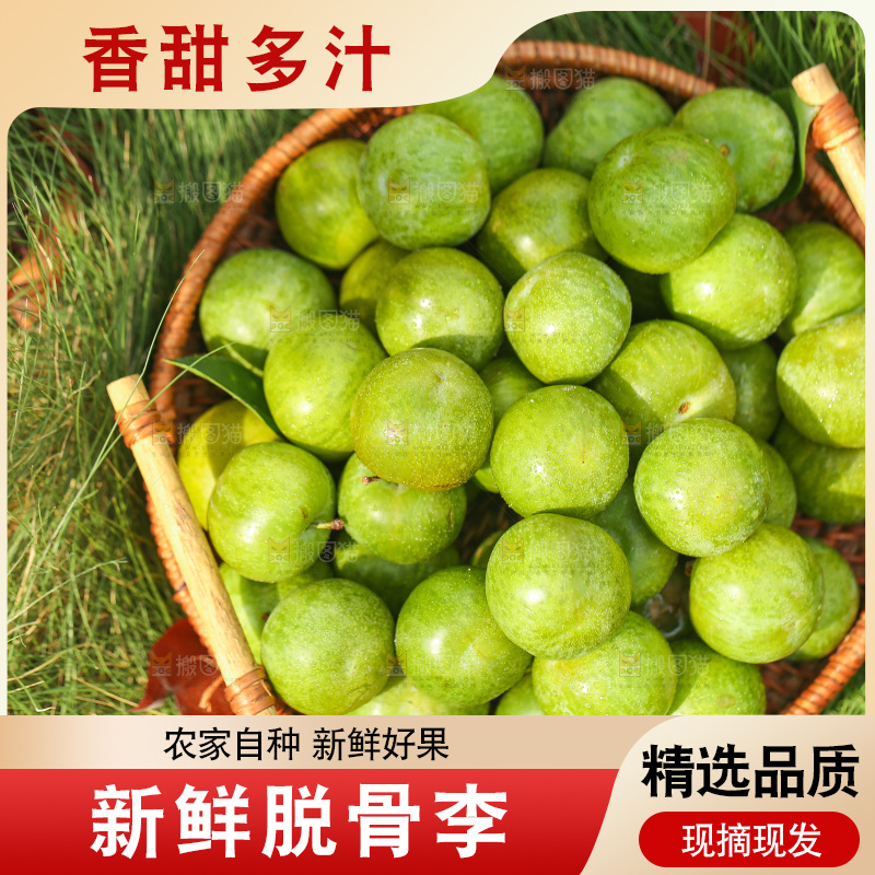 草地上放着一篮脱骨李