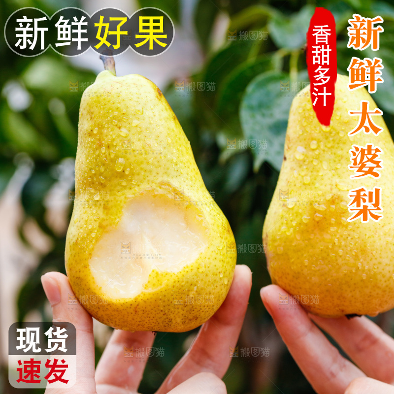 手里拿着新鲜太婆梨