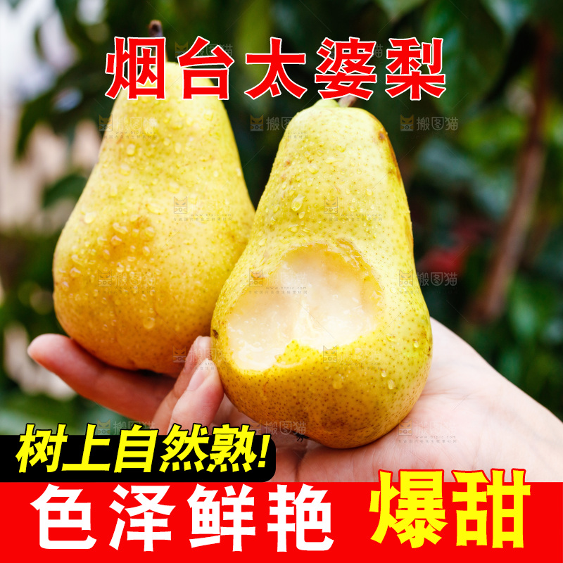 手里拿着新鲜太婆梨