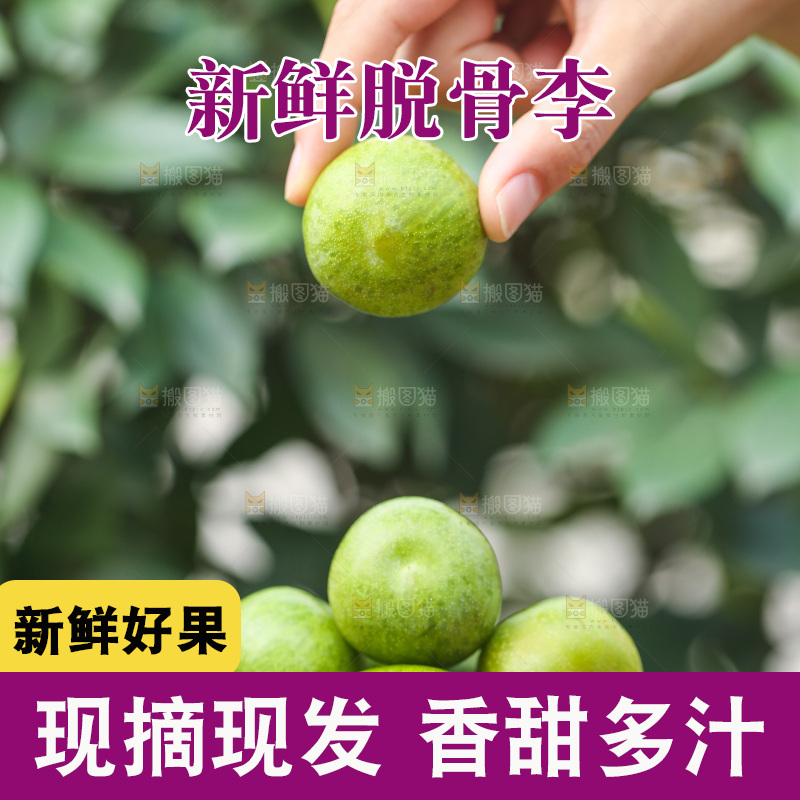 手上放着新鲜脱骨李