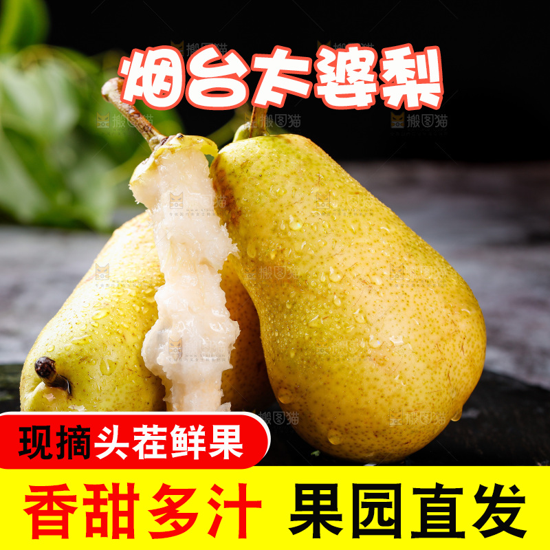 黑石板上的太婆梨