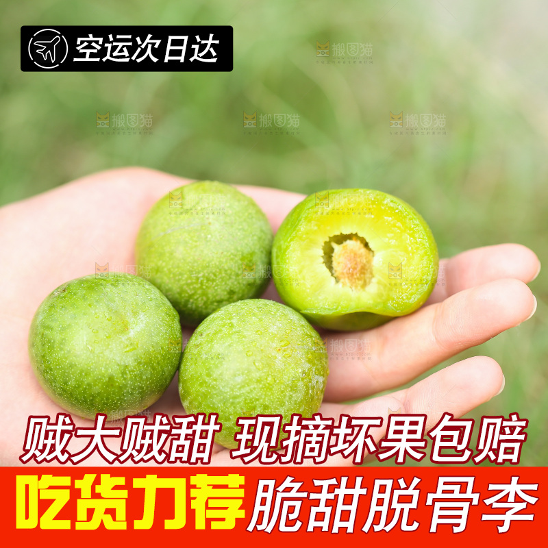 手上放着新鲜脱骨李