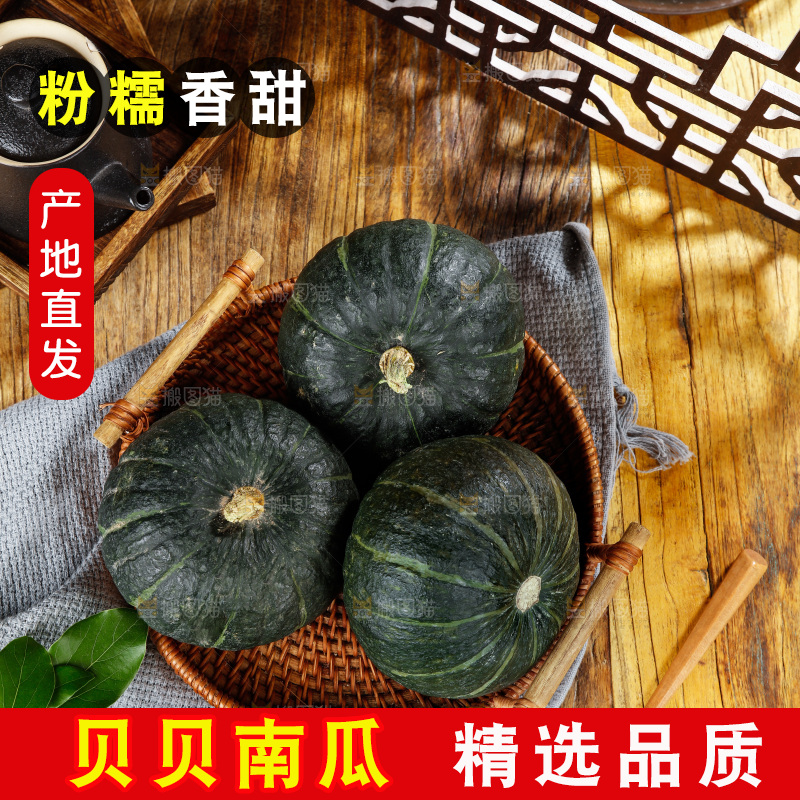 木底上的贝贝小南瓜