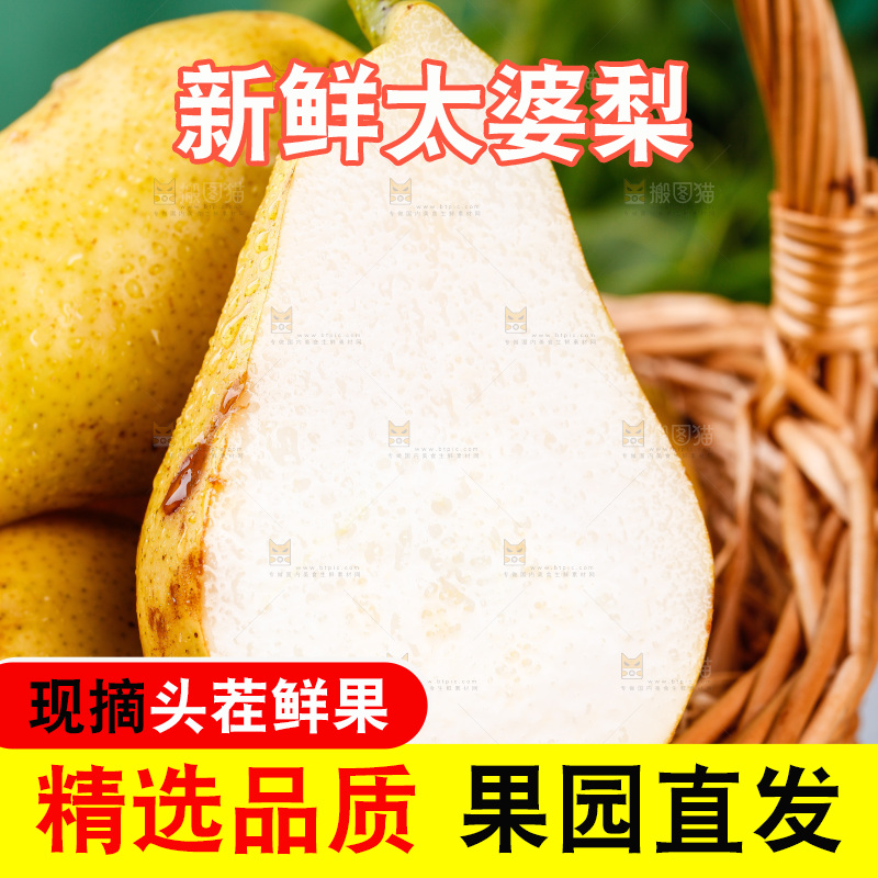 篮子里的烟台太婆梨