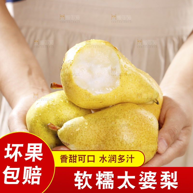 手里捧着太婆梨
