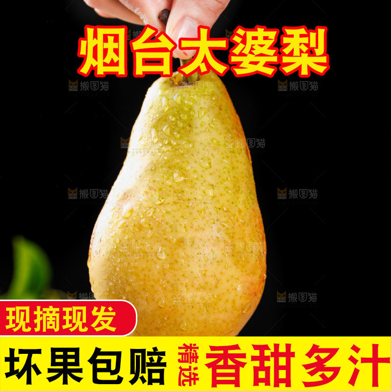 手里拿着烟台太婆梨