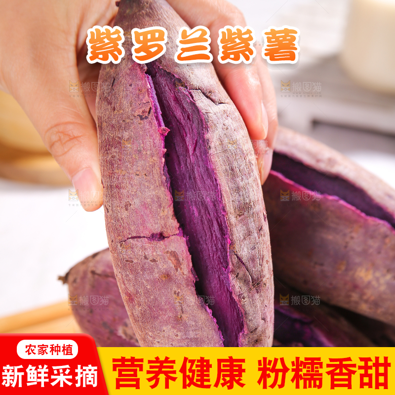 手里拿着大紫薯