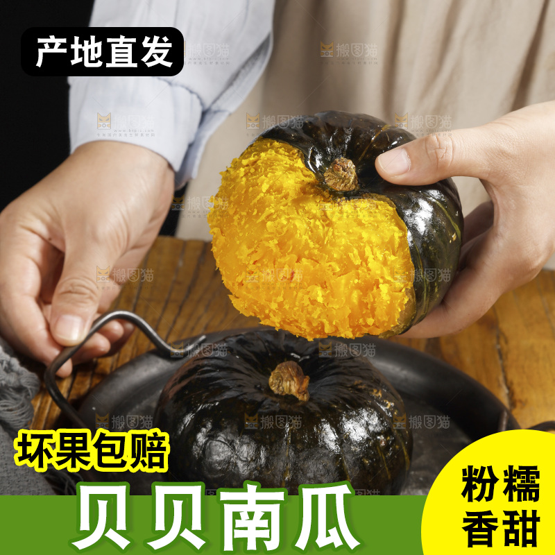 手里拿着的板栗南瓜