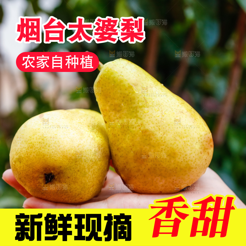 手里放着新鲜太婆梨