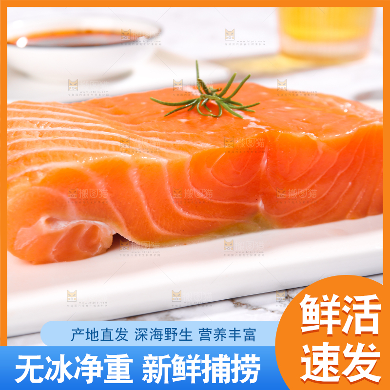 浅底上的一盘三文鱼腩