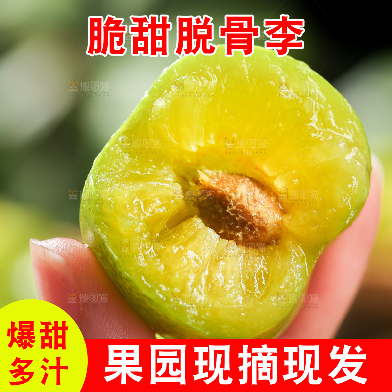 手拿着新鲜脱骨李