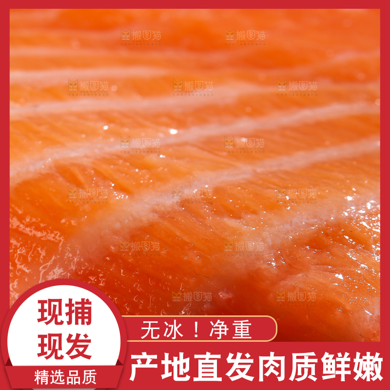 三文鱼纹理