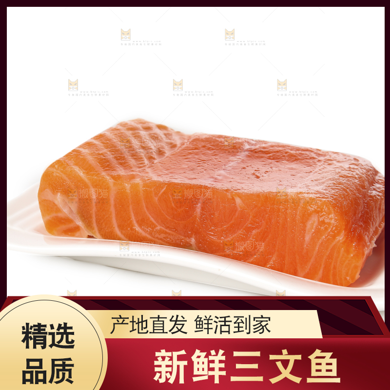白底上放着一盘三文鱼腩