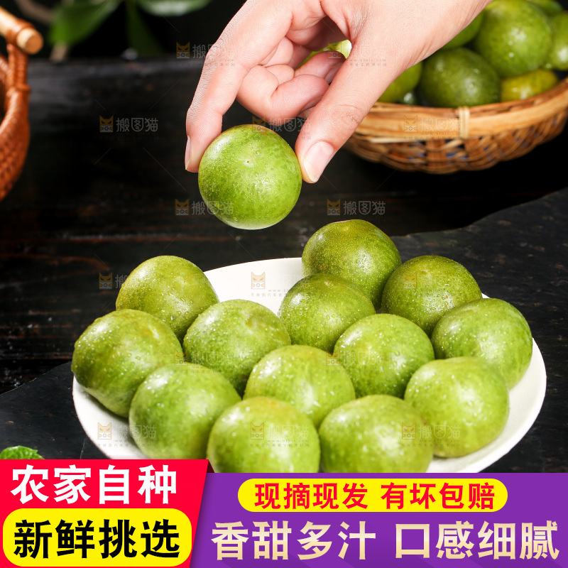 手里拿着四川脱骨李