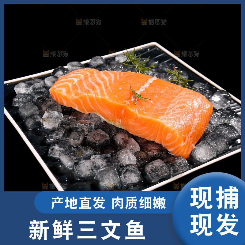 黑底上放着冰冻三文鱼