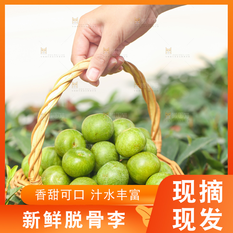手里提着一篮脱骨李
