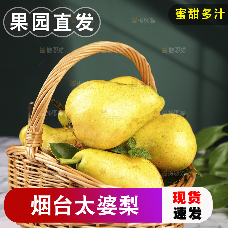 浅底上的一篮山东太婆梨
