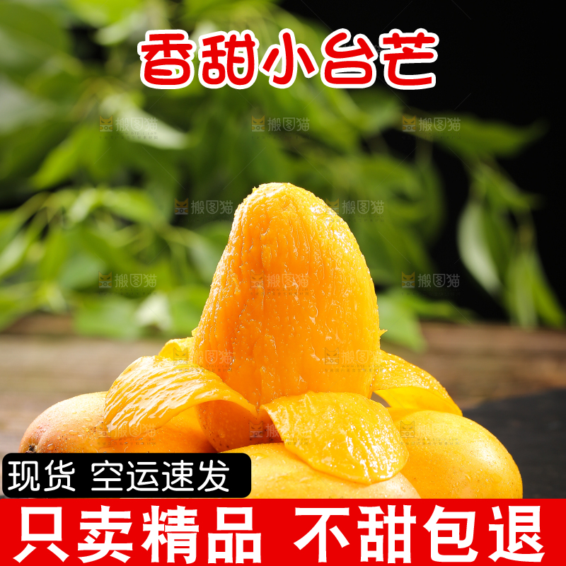 黑底上的新鲜小台芒