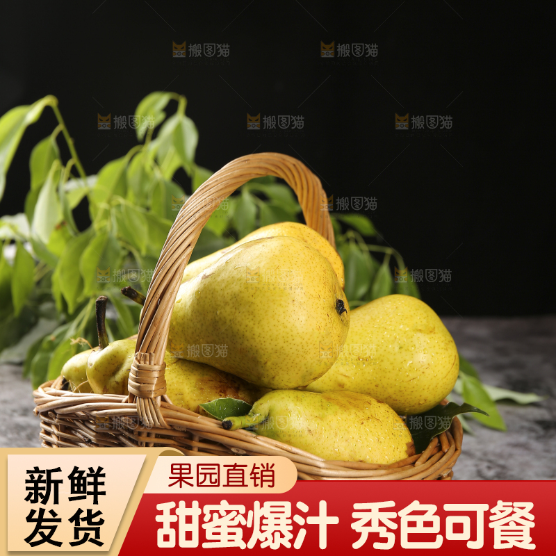 深底上放着一篮太婆梨