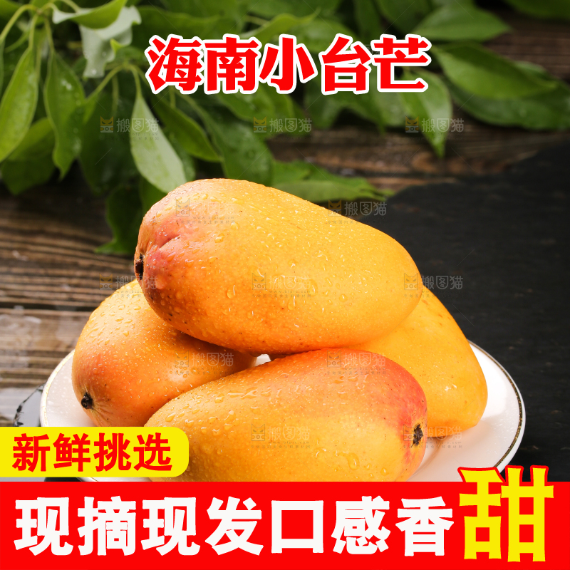 黑底上的一盘小台芒