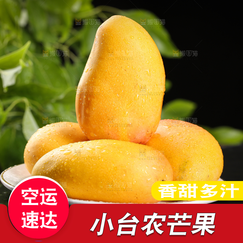 黑底上的一盘小台芒