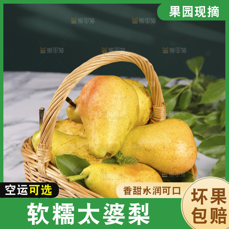 浅底上的一篮山东太婆梨