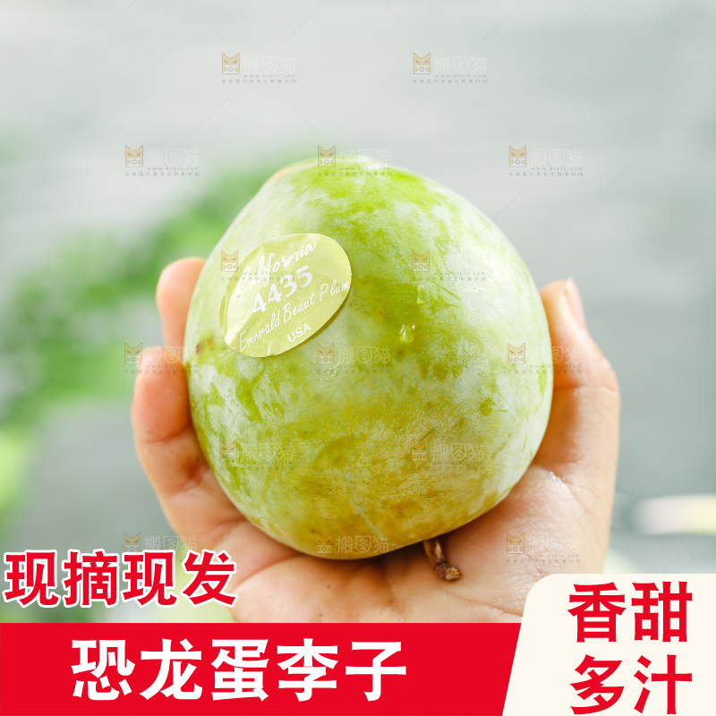 手里拿着新鲜恐龙蛋李