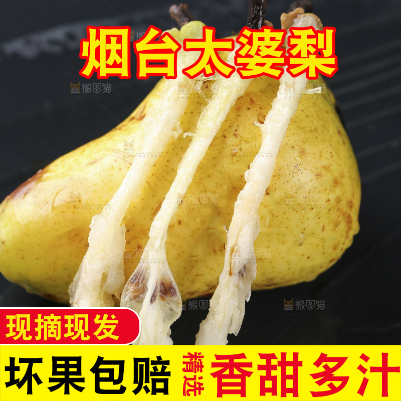 黑底上放着太婆梨果核