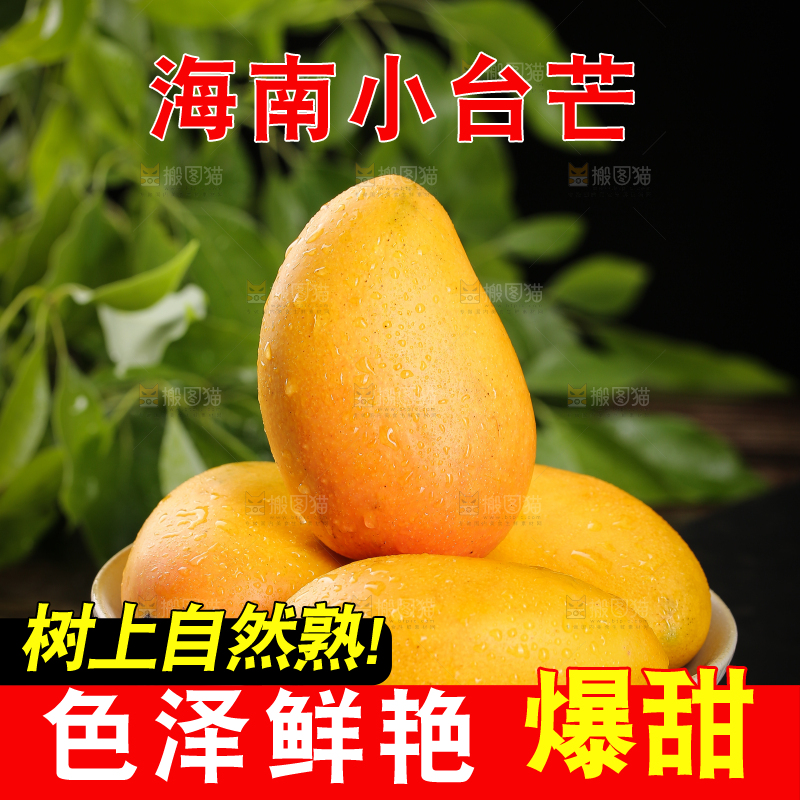 黑底上的一盘小台芒