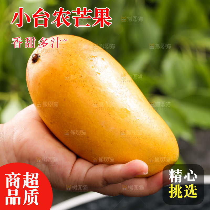 手里拿着新鲜台芒