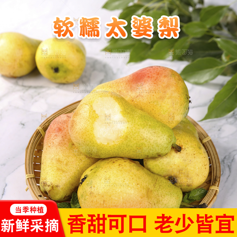 浅底上的一篮山东太婆梨